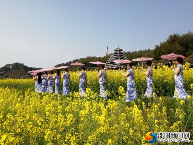 春意盎然的&ldquo;百亩油菜花走廊&rdquo;。