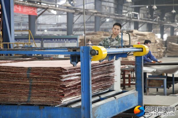 湖南中集竹木业发展有限公司生产加工现场