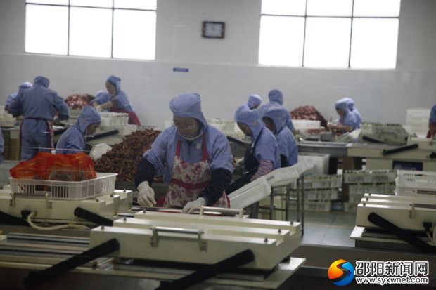 武冈市陈氏福元卤业食品有限责任公司工作人员在组织生产