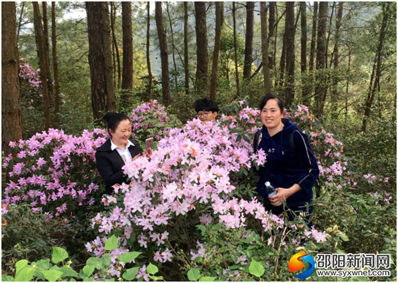 QQ图片20180401103239