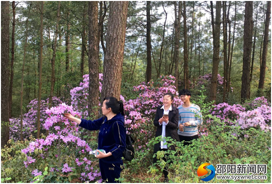 QQ图片20180401103303