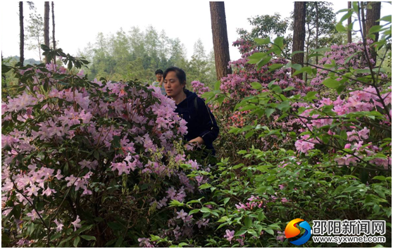 QQ图片20180401103315