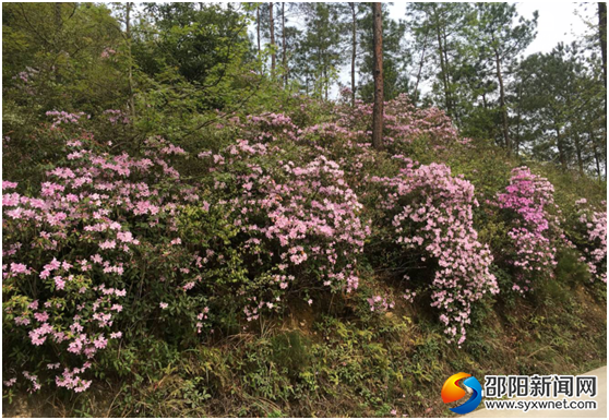 QQ图片20180401103337