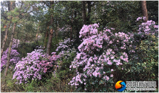 QQ图片20180401103405