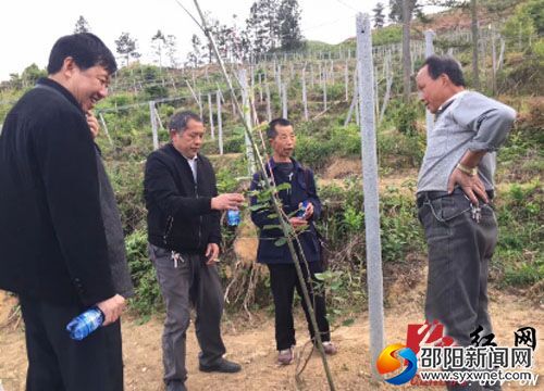 QQ图片20180419113042