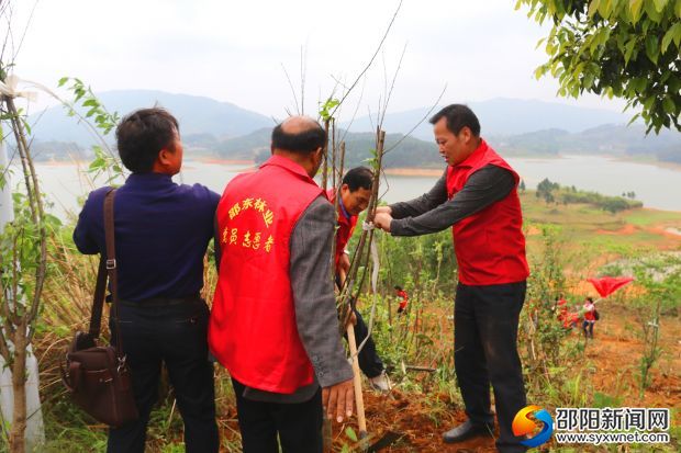 植树现场