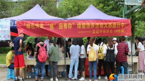 领养绿植现场