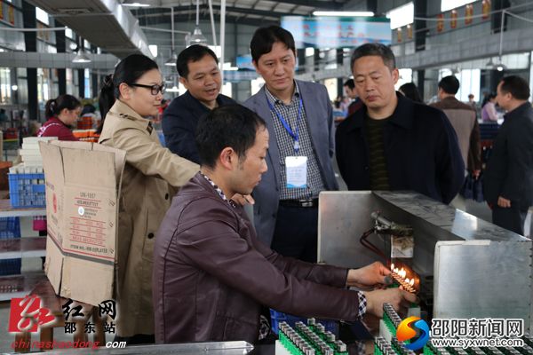 评审专家组在东亿电气实地考核