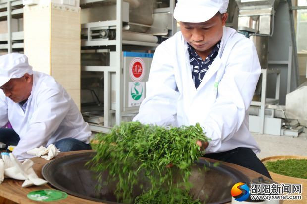 参赛选手正在炒制绿茶鲜叶 