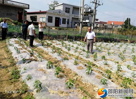 武冈畜牧水产局农家微课堂开到田间地头