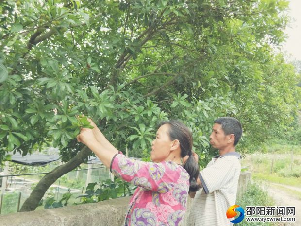 微信图片_20180528090658