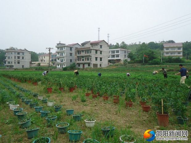 DSC04714