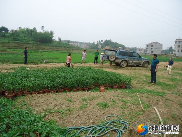 DSC04718