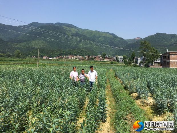 微信图片_20180529104535