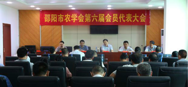 会议现场