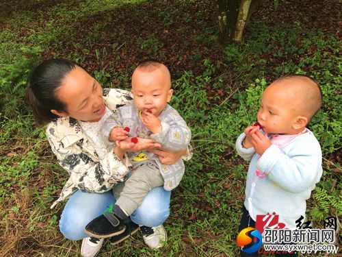 杨梅基地里,两个小朋友在有滋有味品尝甜甜的杨梅