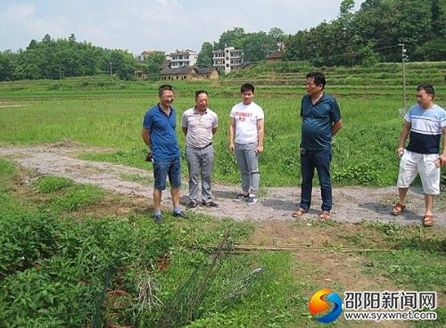 图片2_副本