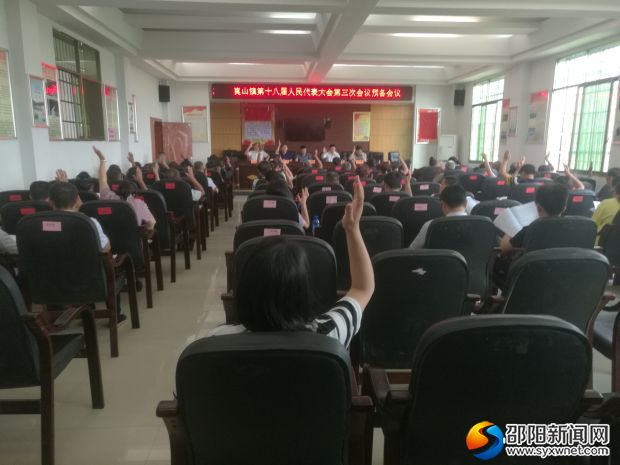图为全体代表举手表决