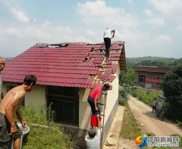 图片1