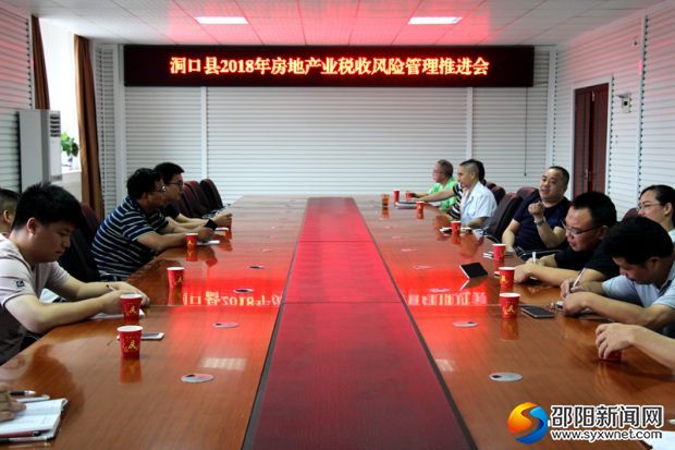 洞口税务部门专项开展房地产行业税收风险管理应对