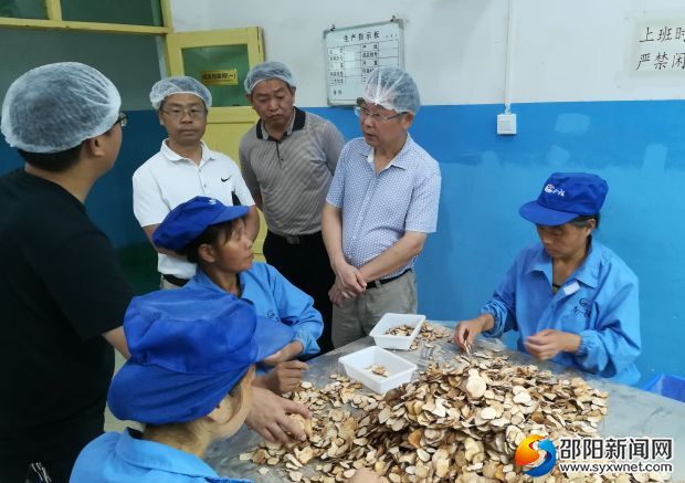 加工车间考察
