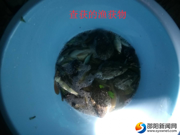 查获的渔获物