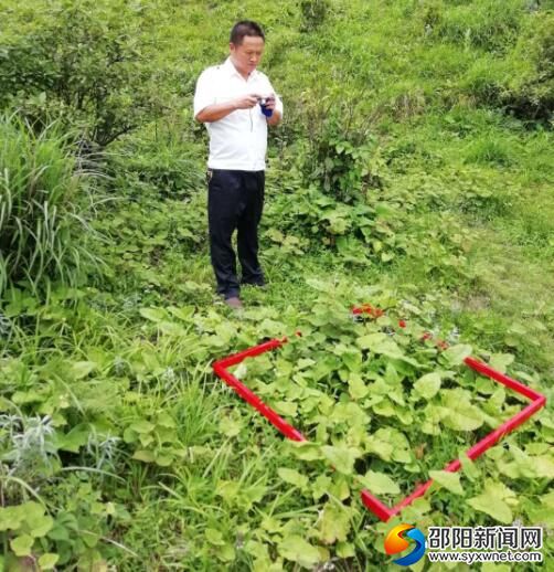 QQ截图20180806101100