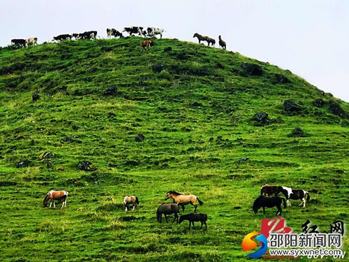高山草原景美如画
