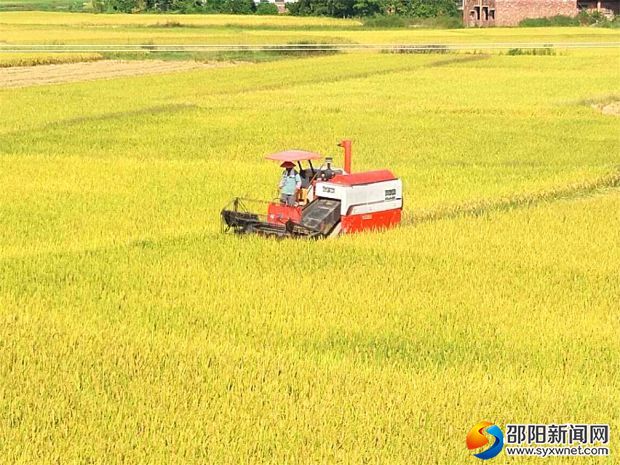 微信图片_20180822165314_看图王