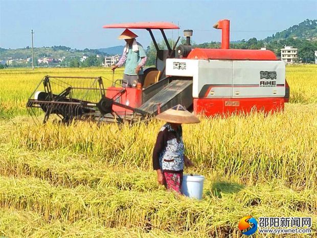 微信图片_20180822165416_看图王