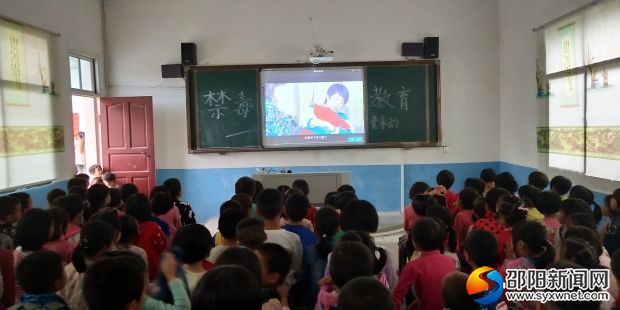 师生观看禁毒教育视频图片
