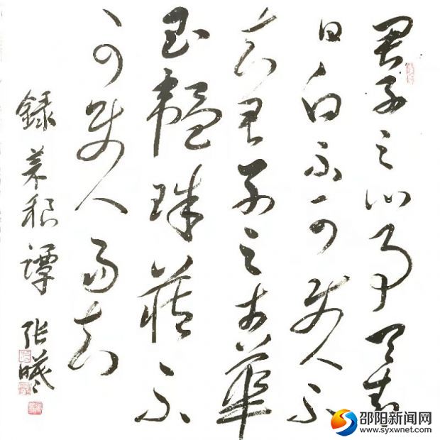 张曦