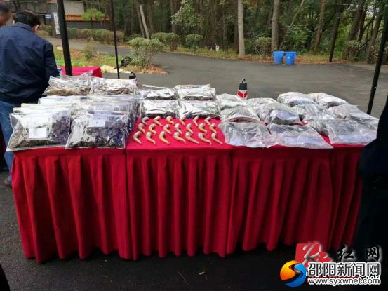 新邵破获特大贩卖濒危野生动物及其制品案1