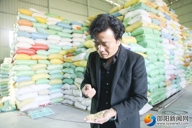 阮礼超在对谷子的品质进行检测