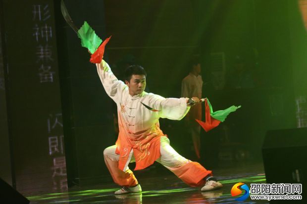 武术表演