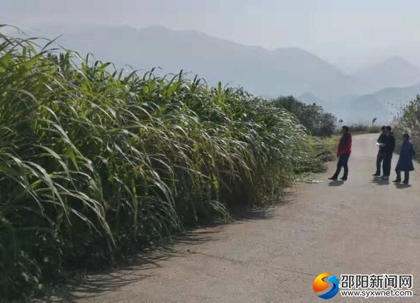 11月27日,省草地资源清查外业调查组在城步茅坪镇进行草地资源清查外业调查。