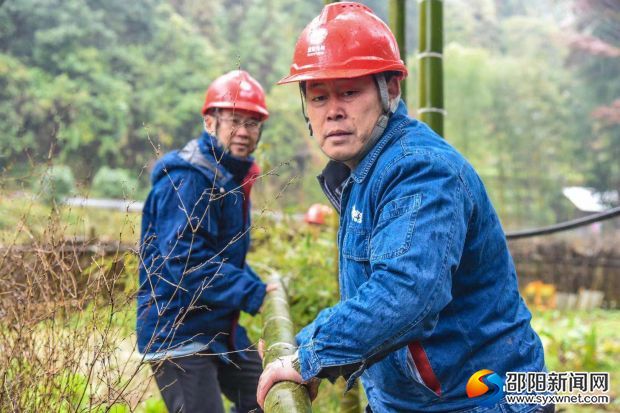 将砍伐后的竹子拖离主要通道