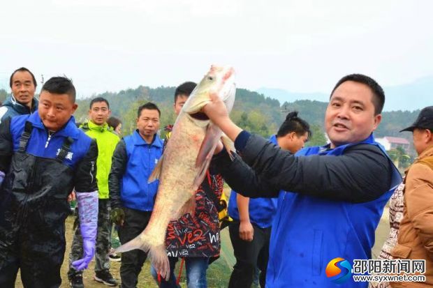 生态鱼王评选现场