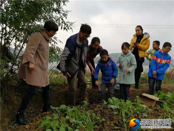 五、雨山中心学校科技组师生在校外植物园里，观察研究菜青虫。