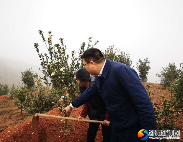 微信图片_20190104131647