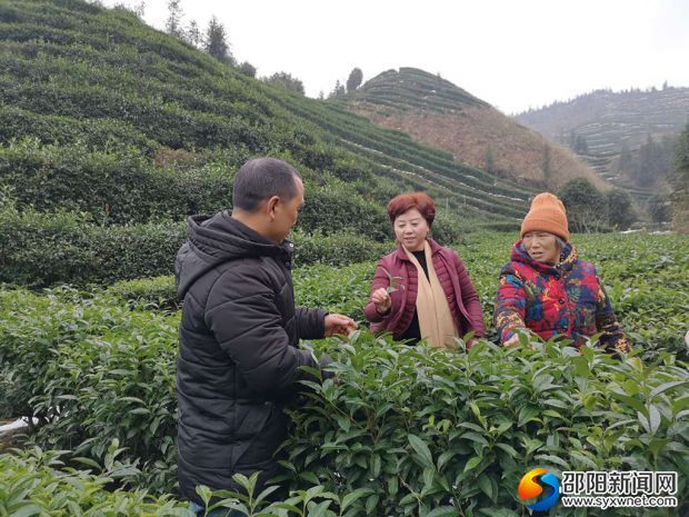 微信图片_20190105141411