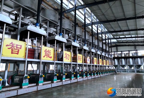 绥宁引进茶油精深加工企业推动油茶产业发展。_副本