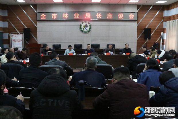 座谈会现场