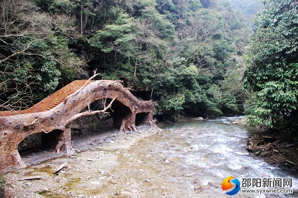 绥宁黄桑生态旅游区鸳鸯岛景点_副本