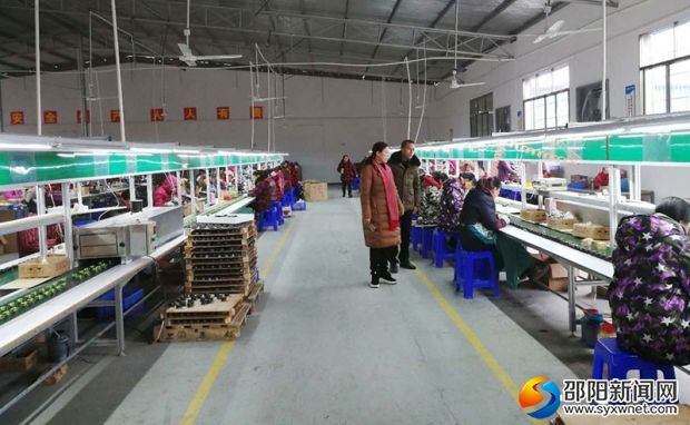 微信图片_20190307134145