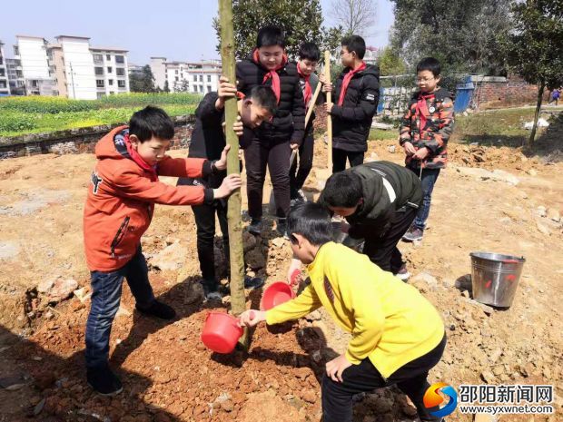 微信图片_20190312135712