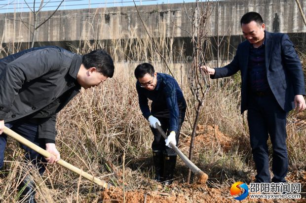 微信图片_20190312155332_副本