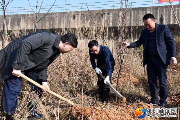 2019年植树3