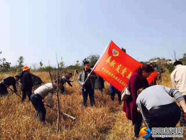 微信图片_20190313094949