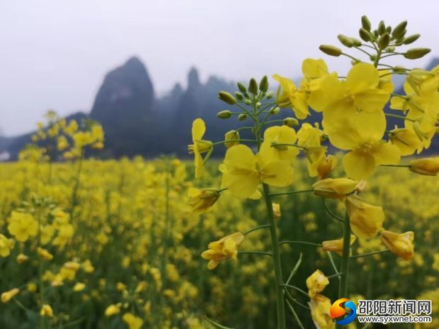 微信图片_20190317111849